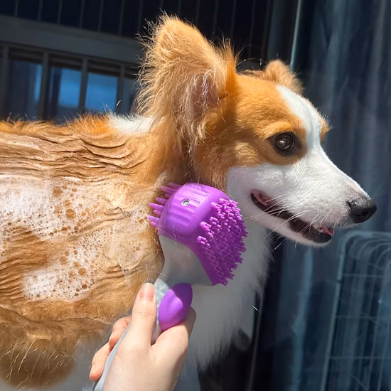 Brosse de bain en silicone avec Logo personnalisé, lavage des animaux domestiques, nettoyage et toilettage